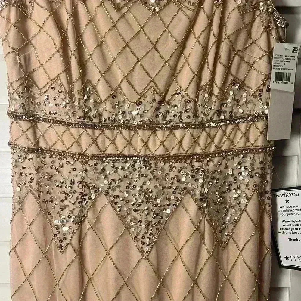 Adrianna Papell Blush Lace Dress - Picture 12 of 16
